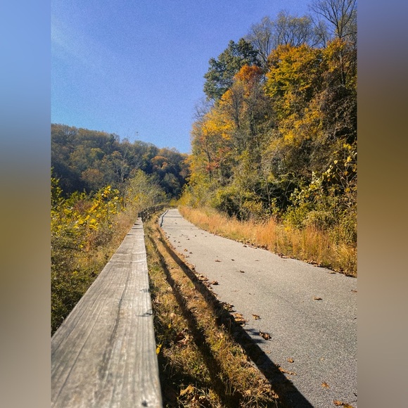 🤗 - Picture 15 of 17